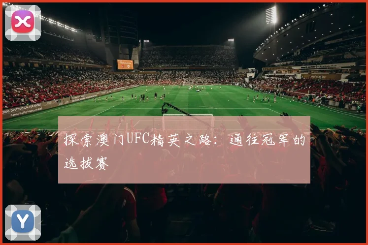 探索澳门UFC精英之路:通往冠军的选拔赛