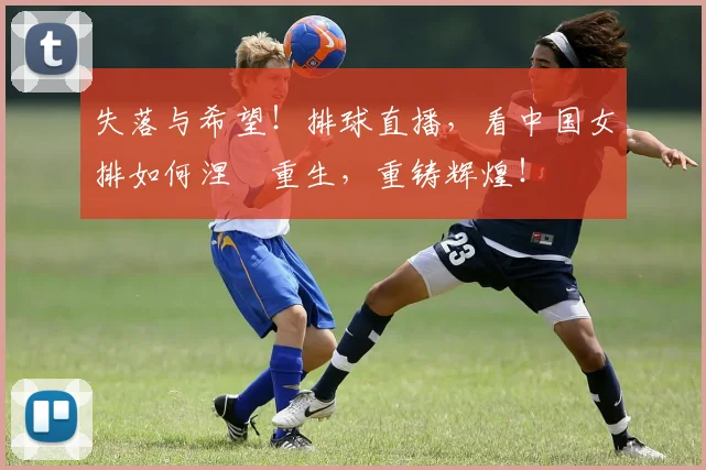 失落与希望!排球直播,看中国女排如何涅槃重生,重铸辉煌!