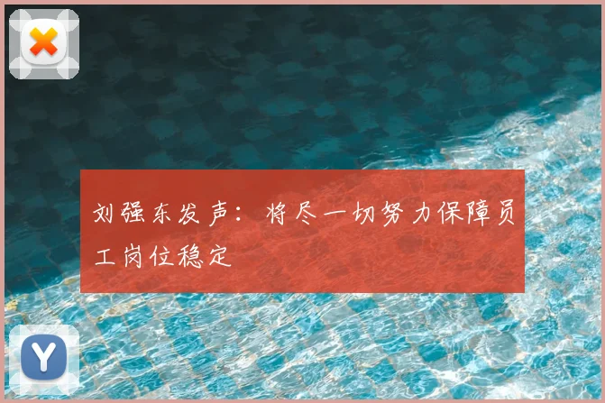 刘强东发声:将尽一切努力保障员工岗位稳定