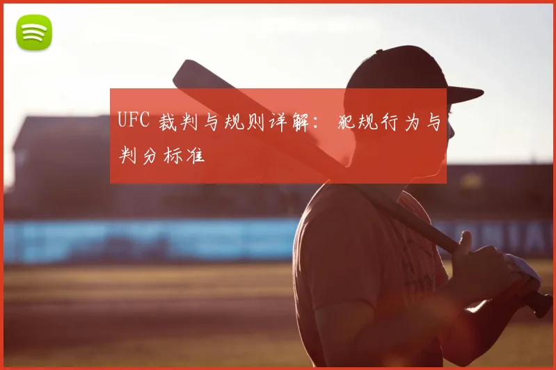 UFC 裁判与规则详解:犯规行为与判分标准