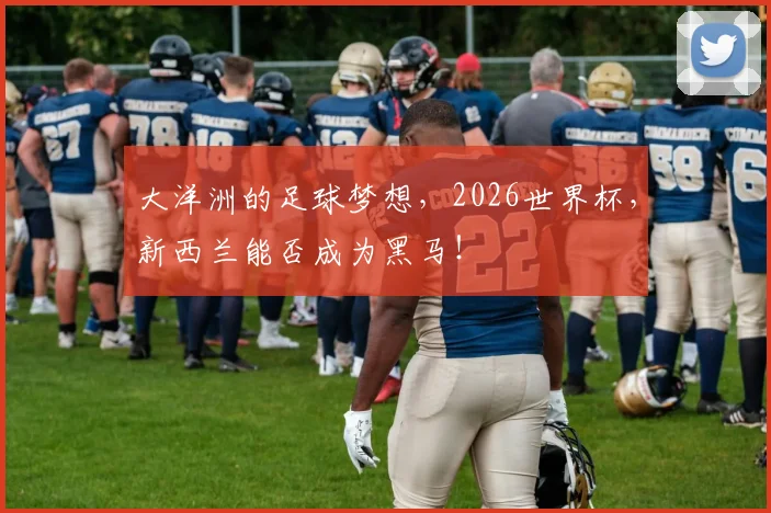 大洋洲的足球梦想,2026世界杯,新西兰能否成为黑马!