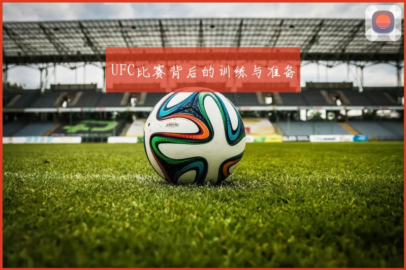 UFC比赛背后的训练与准备