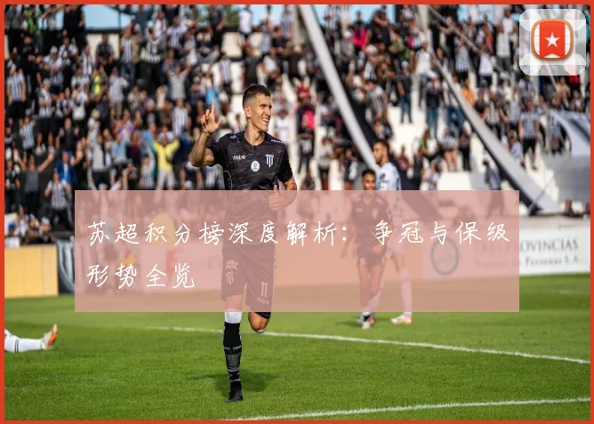 苏超积分榜深度解析:争冠与保级形势全览