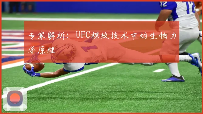 专家解析:UFC裸绞技术中的生物力学原理