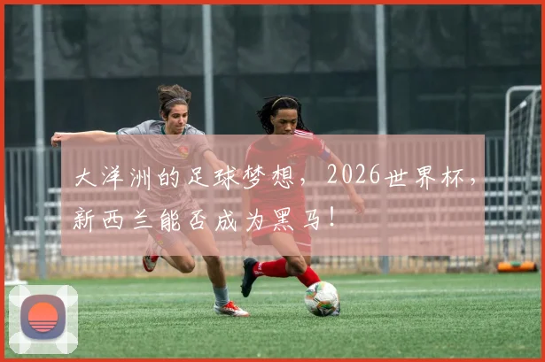 大洋洲的足球梦想,2026世界杯,新西兰能否成为黑马!