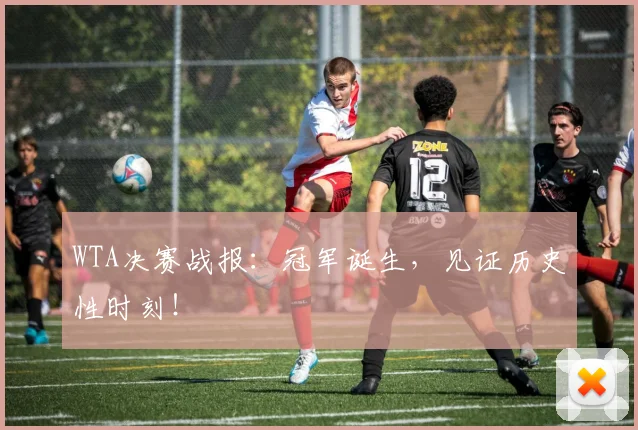 WTA决赛战报：冠军诞生，见证历史性时刻！