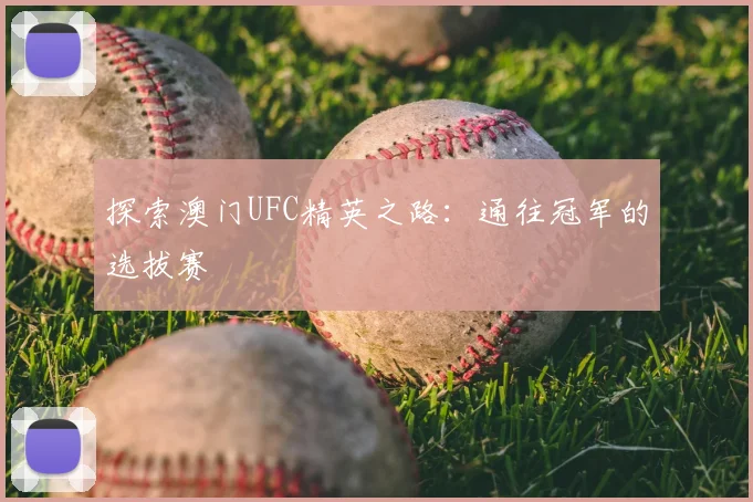 探索澳门UFC精英之路:通往冠军的选拔赛