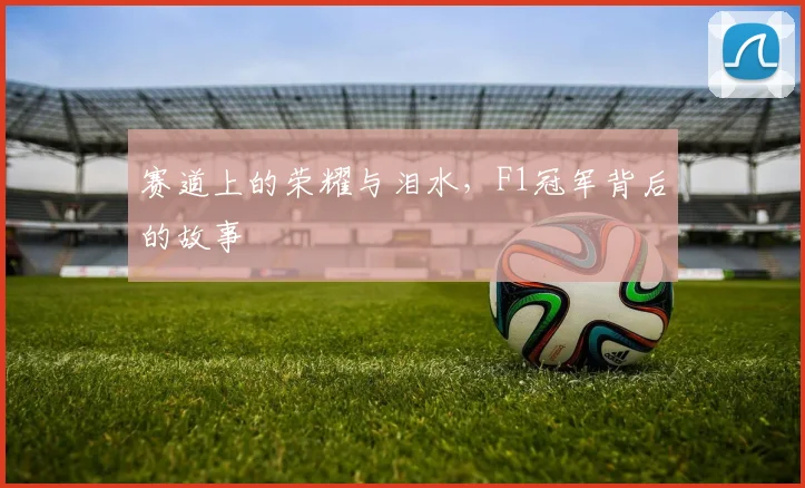 赛道上的荣耀与泪水,F1冠军背后的故事