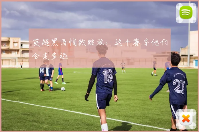 英超黑马悄然绽放,这个赛季他们会走多远