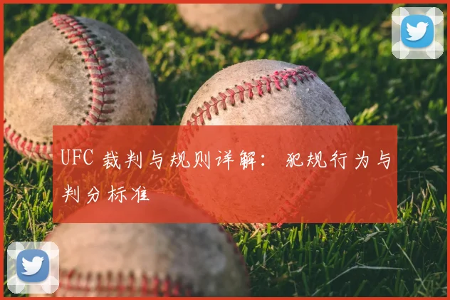 UFC 裁判与规则详解：犯规行为与判分标准