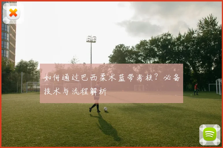 如何通过巴西柔术蓝带考核？必备技术与流程解析