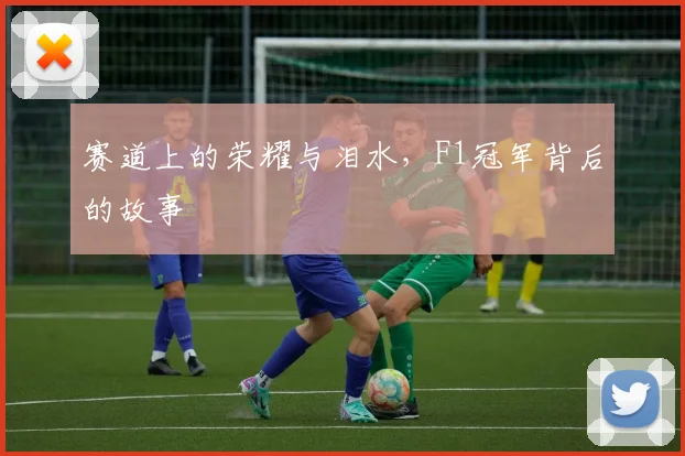 赛道上的荣耀与泪水,F1冠军背后的故事