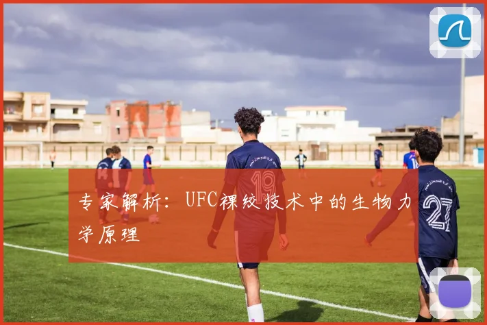专家解析:UFC裸绞技术中的生物力学原理