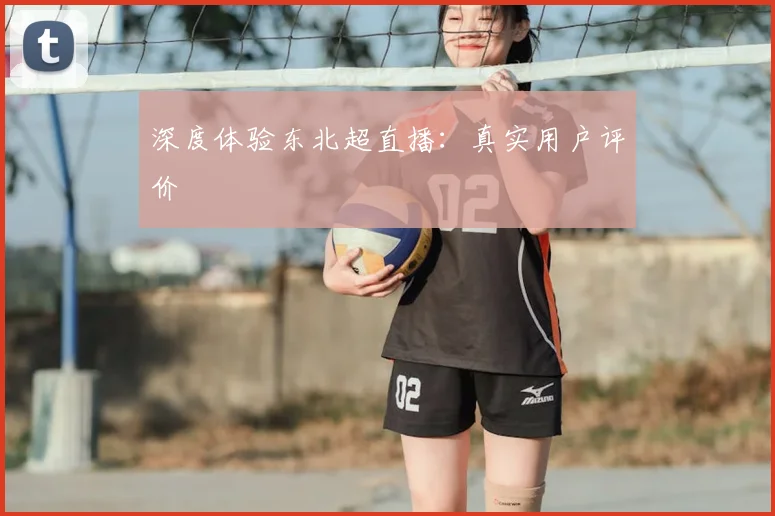 深度体验东北超直播：真实用户评价