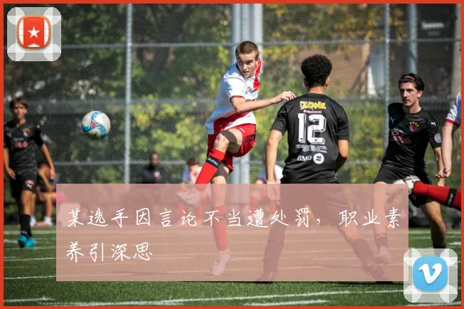 某选手因言论不当遭处罚,职业素养引深思