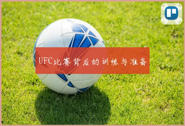 UFC比赛背后的训练与准备