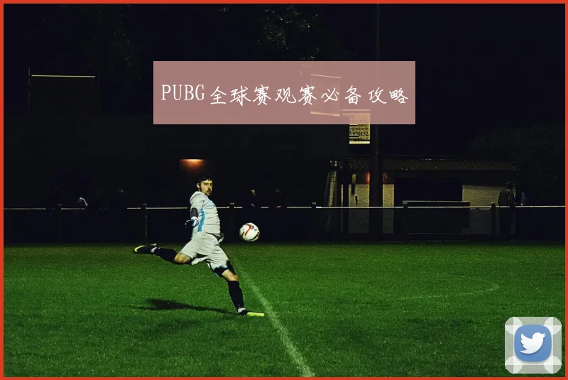 PUBG全球赛观赛必备攻略