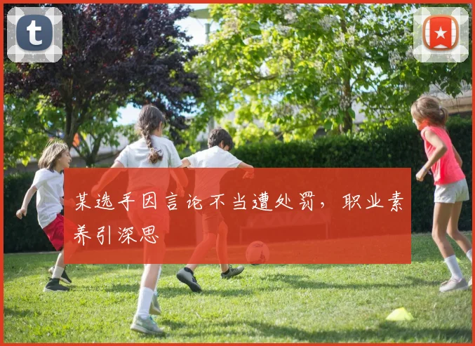某选手因言论不当遭处罚,职业素养引深思