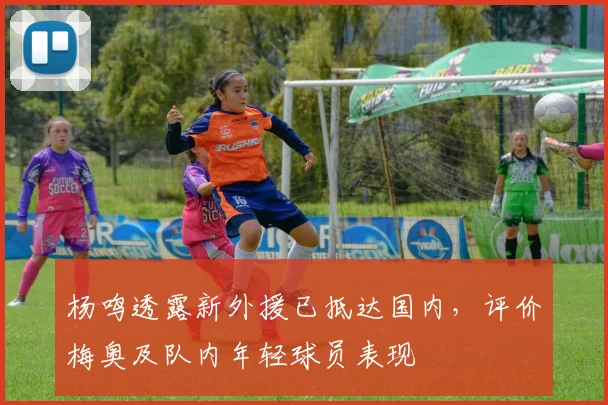 杨鸣透露新外援已抵达国内,评价梅奥及队内年轻球员表现