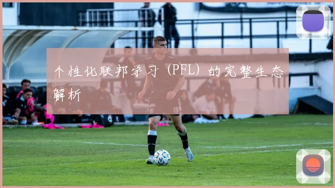 个性化联邦学习 (PFL) 的完整生态解析